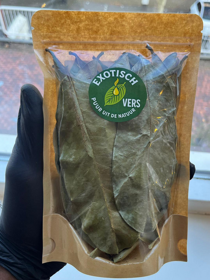 Gedroogde Boszuurzakbladeren (Wilde Variant) - Surinaamse Zuurzak Thee | 100% Puur & Handgeplukt