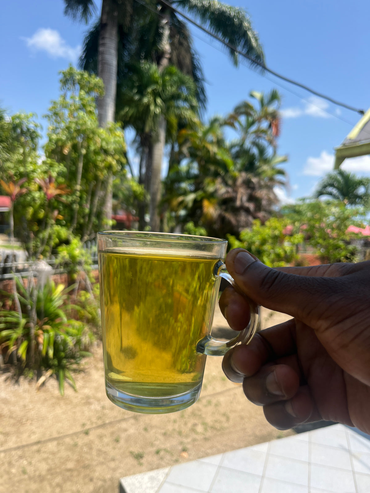 Surinaamse Marva Thee – 100% Puur & Gedroogd (Lippia alba)