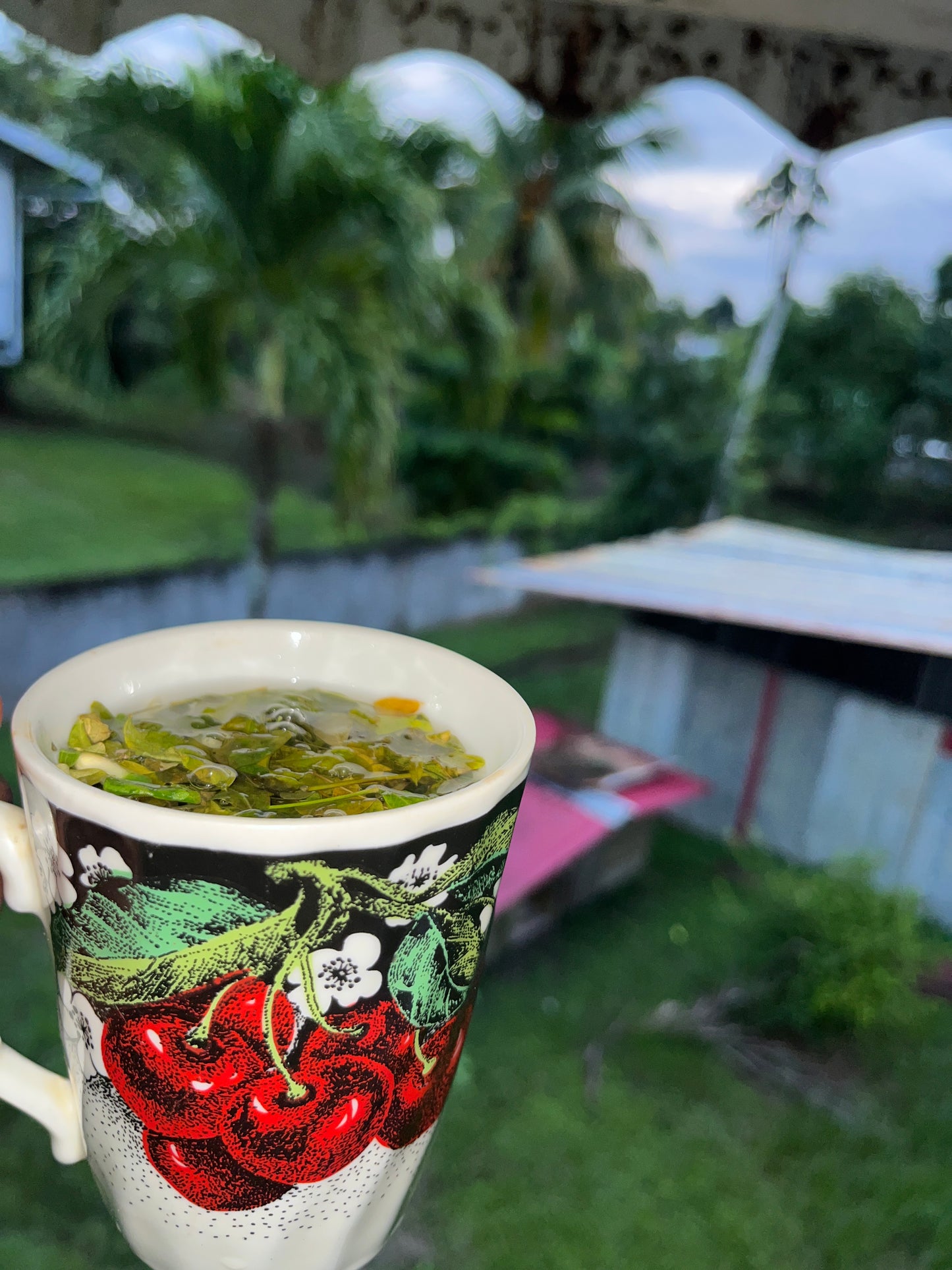 Gedroogde Moringa oleifera Thee (Wilde Oogst) – De "Wonderboom"