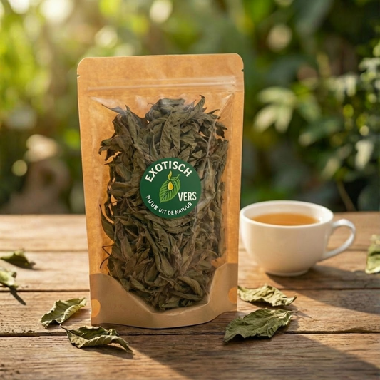 Binnenkort verkrijgbaar: Surinaamse Marva Thee – 100% Puur & Gedroogd (Lippia alba)